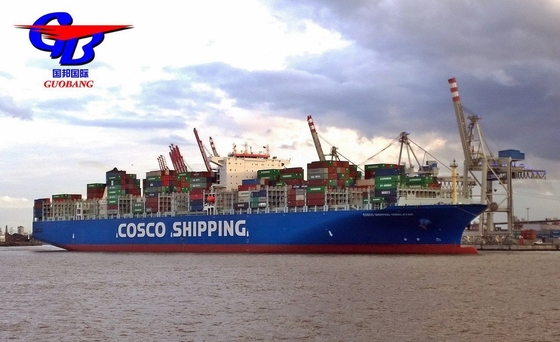 Envio Acessível para a Venezuela Tempo de Trânsito 30-60 Dias Fornecimento Total 1000teu/Mês por mar ar expresso