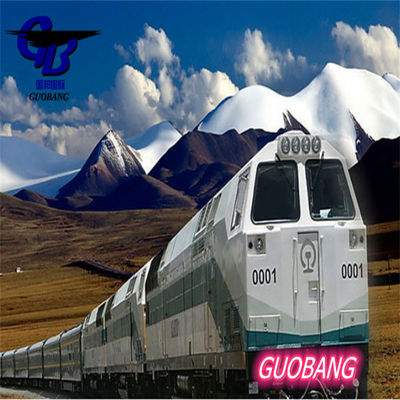 Melhores Serviços de Envio do Cazaquistão para o Cazaquistão e Suporte Total 1000teu/Mês com Personalização