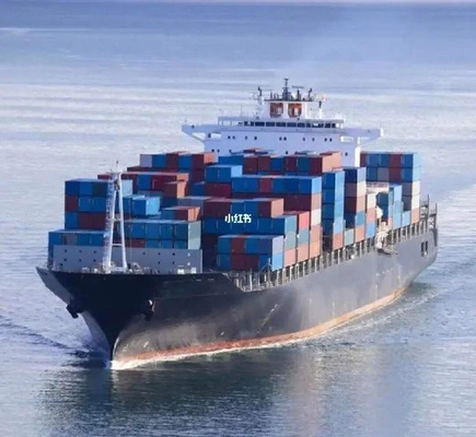 Soluções de Envio Acessíveis De para a Turquia Tempo de Trânsito 1-15 Dias Fornecimento Total 1000teu/Mês