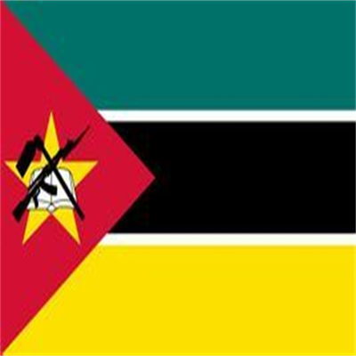 Conveniente Envio de Moçambique por via aérea Serviço complementar Co/Fa/Fe/FF Serviço expresso UPS