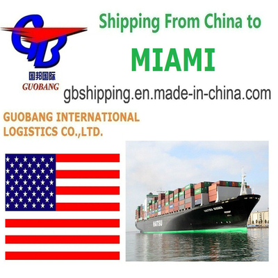 Serviços de transporte marítimo personalizáveis de para Miami Partida Shenzhen/HK//Shanghai/Tianjin Personalização