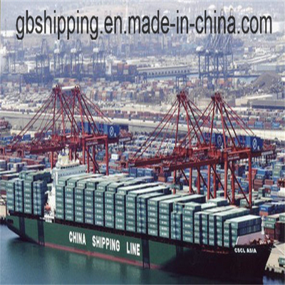 Desalfandegamento Corretagem aduaneira com DG e LCL ou FCL Container Logistics para Santos Brasil a partir de Shenzhen