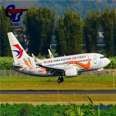 Transporte Aéreo Conveniente e Acessível dos EUA com Rastreamento 24/7 DHL/FedEx/UPS/Aramex/TNT Couriers