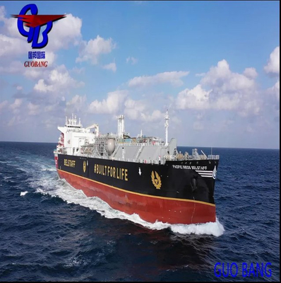 Tipo de envio flexível e profissional LCL para Fiji a partir de Shenzhen Serviços de frete