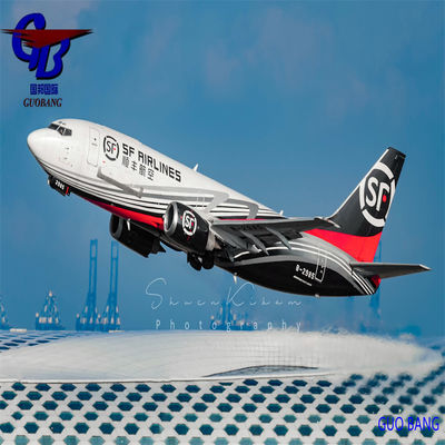 Guobang Airfreight One Stop Service Reservation-Pick-up-Customs Clearance-on Board para transporte aéreo de Guobang para Lyon