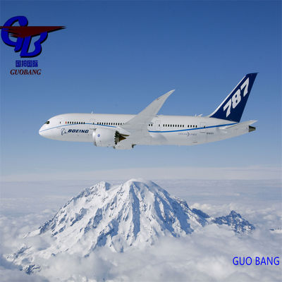 Guobang Airfreight One Stop Service Reservation-Pick-up-Customs Clearance-on Board para transporte aéreo de Guobang para Lyon