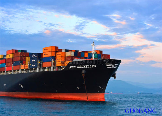 SGS Mar Freight 45HQ Envio da China para a Indonésia