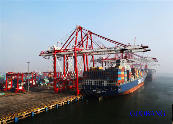 O melhor transportador internacional de mercadorias / transporte marítimo da China para a Jamaica/KINGSTON