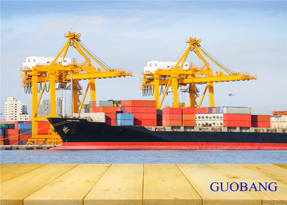 Frete Marítimo 20GP da China para a Nova Zelândia