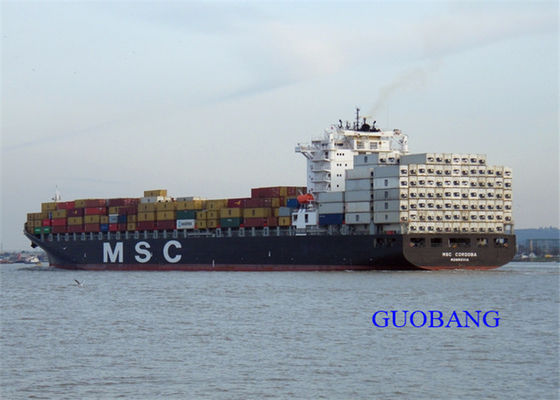 Importação Exportação Xangai China Desalfandegamento