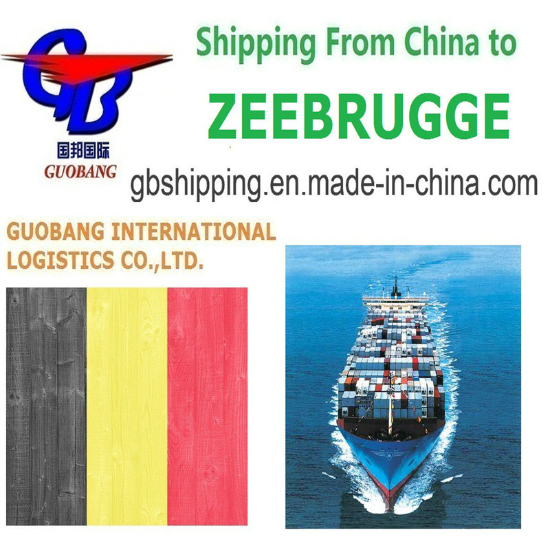 Serviços de Envio Convenientes e Personalizáveis De para Zeebrugge Bélgica Frete Aéreo Marítimo LCL FCL Courier