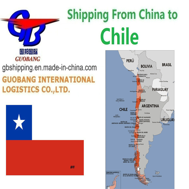 Melhores Serviços de Envio Diário do Chile com o Serviço Adicional de Relatório da SGS