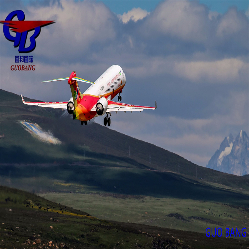 Despacho Aduaneiro Serviço de Transporte Marítimo e Aéreo De Para Japão RF Transporte Confiável e Acessível