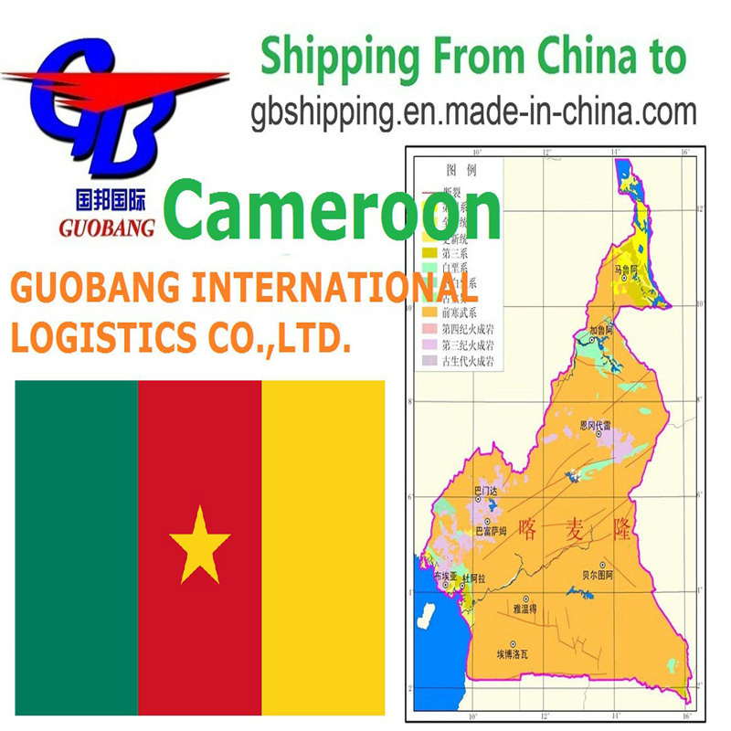 Envio de para Camarões por mar Co/Fa/Fe/FF Serviço Adicional Saída Shenzhen/HK//Shanghai/Tianjin