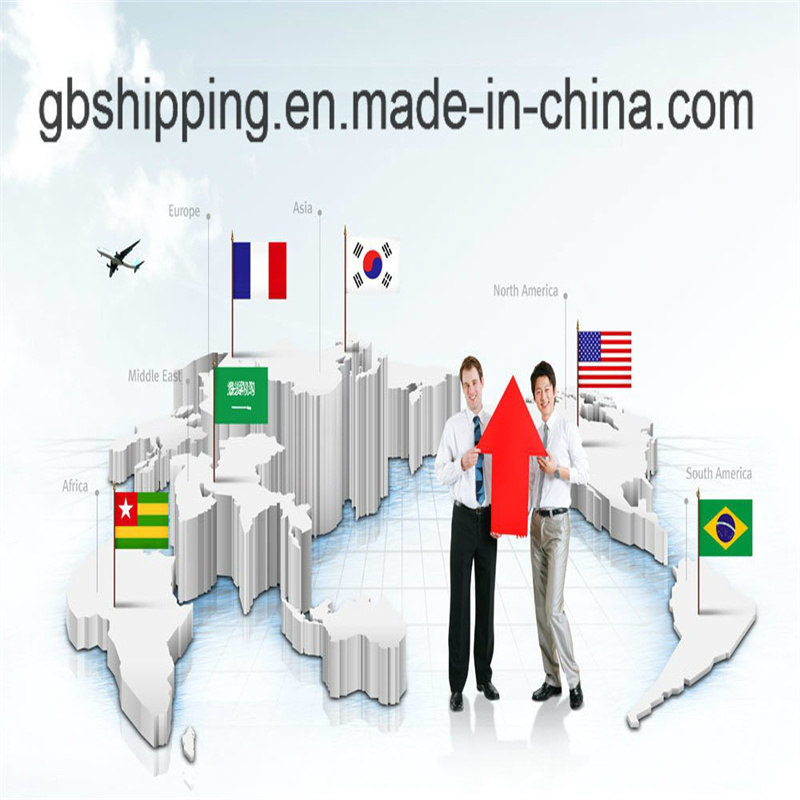 Serviço de transporte de contêineres de para o mundo inteiro Nossa credibilidade verificada pela SGS e com fornecimento total de 8000-10000 kg