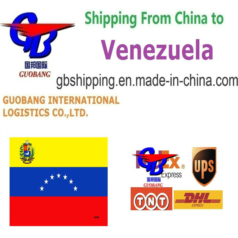 Serviço profissional de transporte de caminhões da Venezuela para recolher dos fornecedores e entregar ao porto/armazém