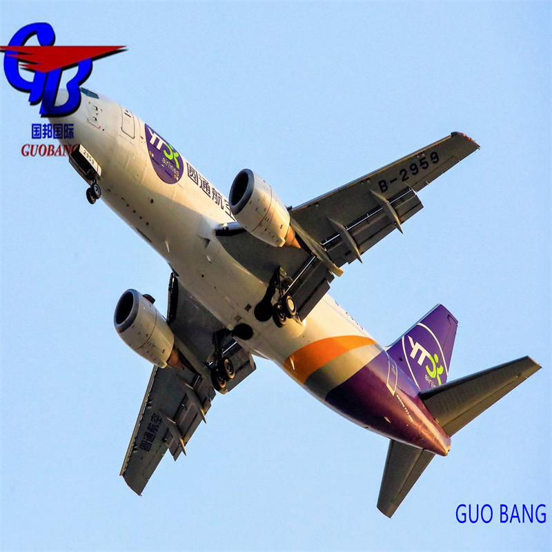 Receba seus pacotes entregues rapidamente Envio UPS/FedEx de Shenzhen para o Canadá com serviço de rastreamento em 24 horas