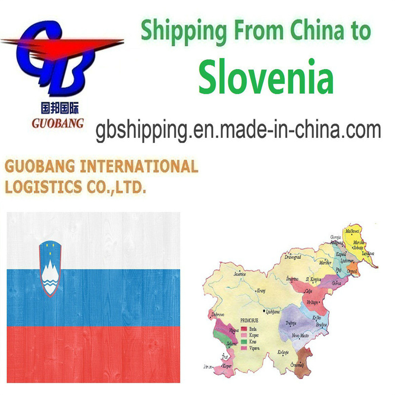 Transporte Aéreo Rápido e Coleta por Caminhão da Guobang Airfreight de Fornecedores para Porto/Armazém para Serviços de Envio Aéreo De para Eslovênia