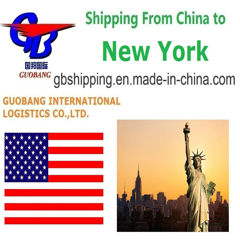 Envio DHL de para York Serviço Único de Reserva - Coleta - Despacho Aduaneiro - Envio Aéreo a Bordo Funciona Bem com CZ