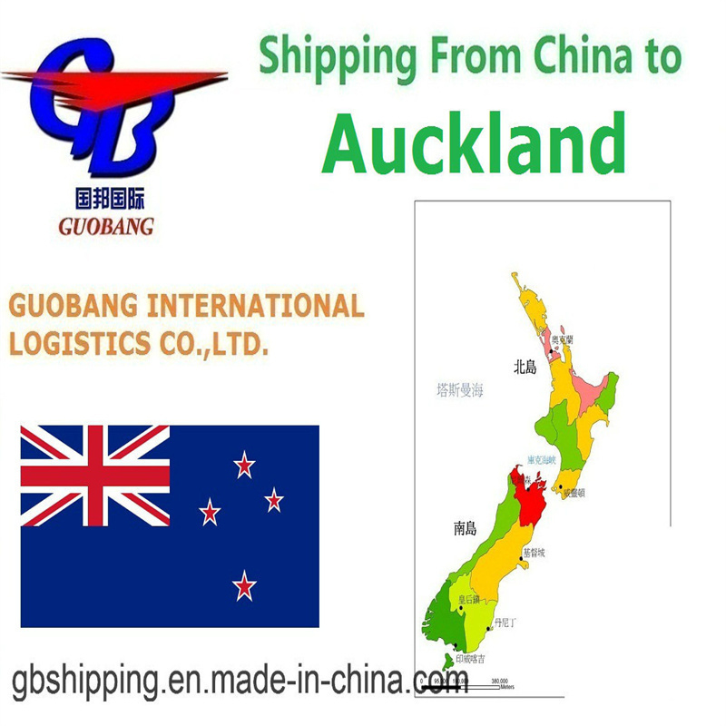 Guobang Guobang International Logistics Co. Serviço de transporte marítimo de carga aérea LCL FCL Correio de Auckland para Auckland