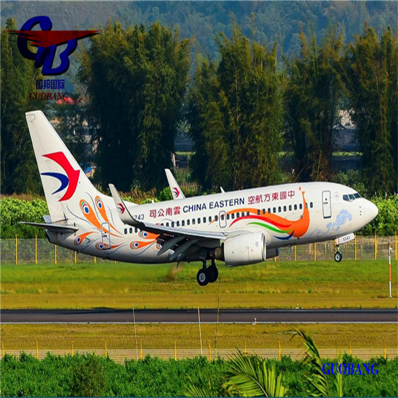 Cargas aéreas de /Shenzhen/HK para Bremen Serviço de aviação internacional com desalfandegamento aduaneiro de corretagem aduaneira